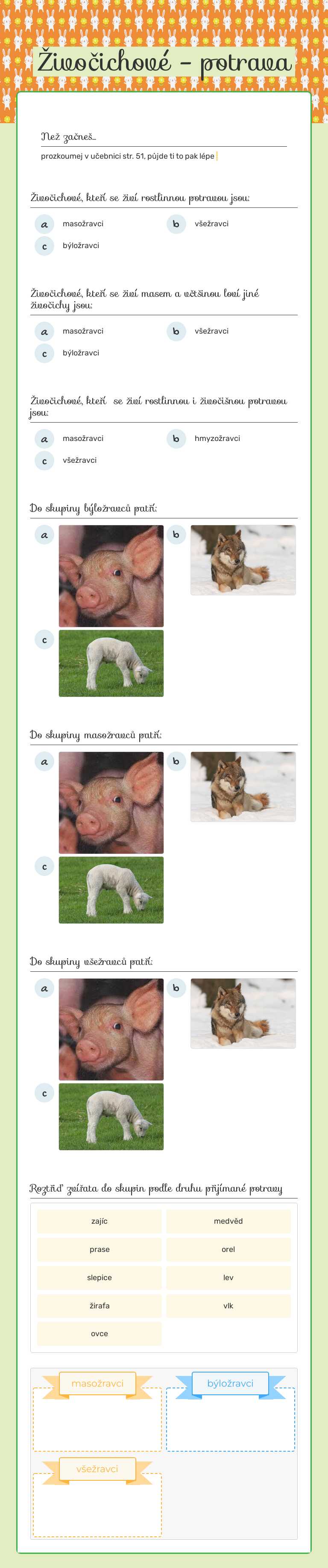 Živočichové - potrava Grade 3 worksheet preview