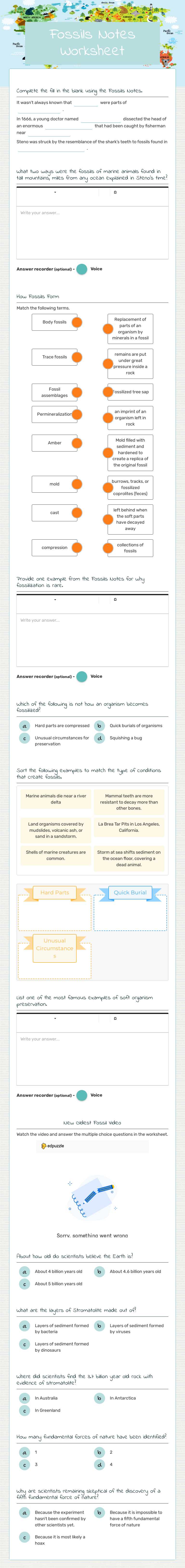 Fossils Notes Worksheet worksheet preview image