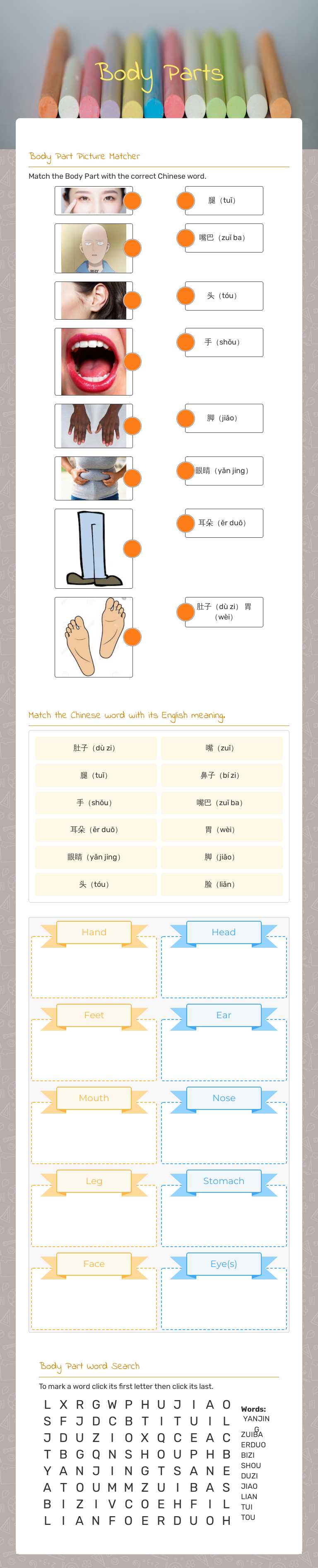 Body Parts worksheet preview image