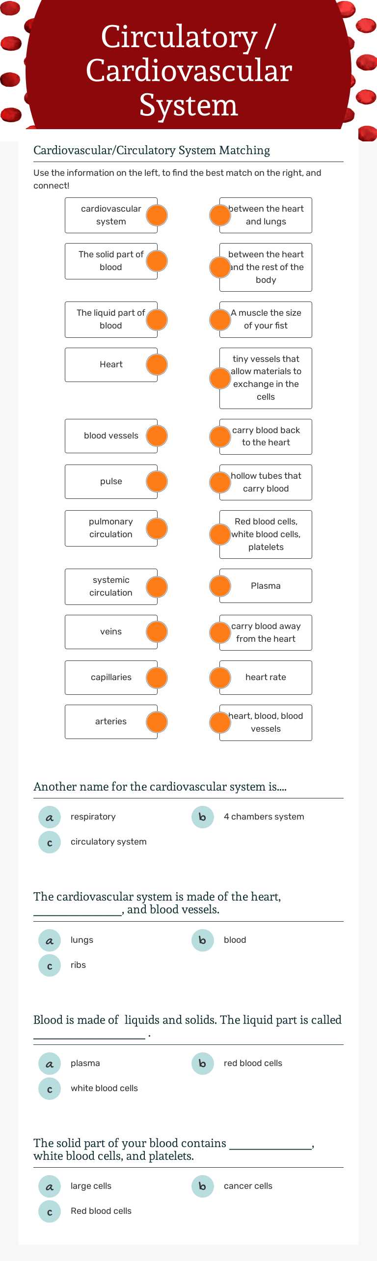 Circulatory / Cardiovascular 
System Grade 6 worksheet preview