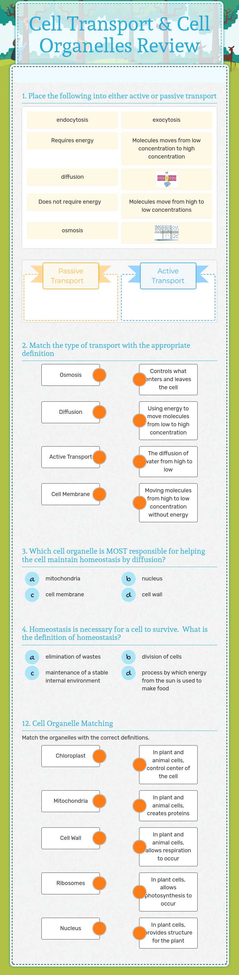 Cell Transport & Cell Organelles Review worksheet preview image