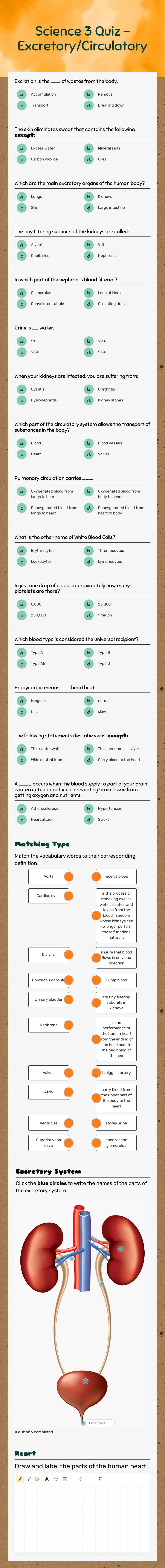 Science 3 Quiz - Excretory/Circulatory worksheet preview image