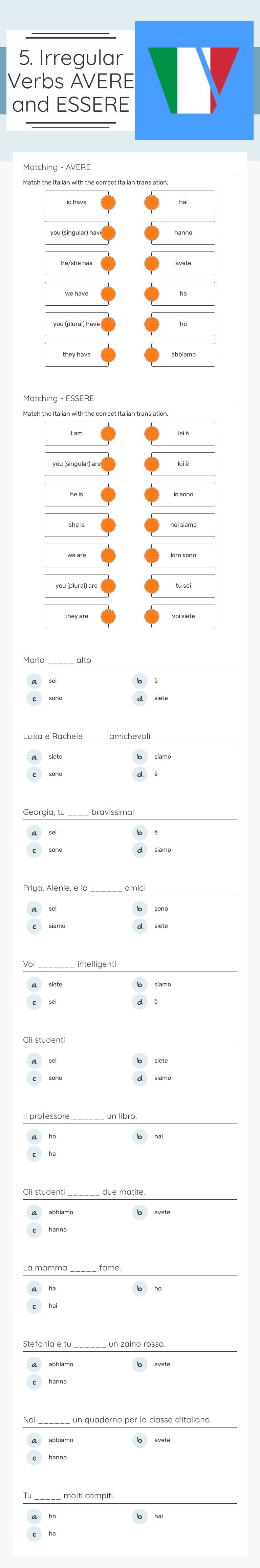 5. Irregular Verbs 
AVERE and ESSERE worksheet preview image