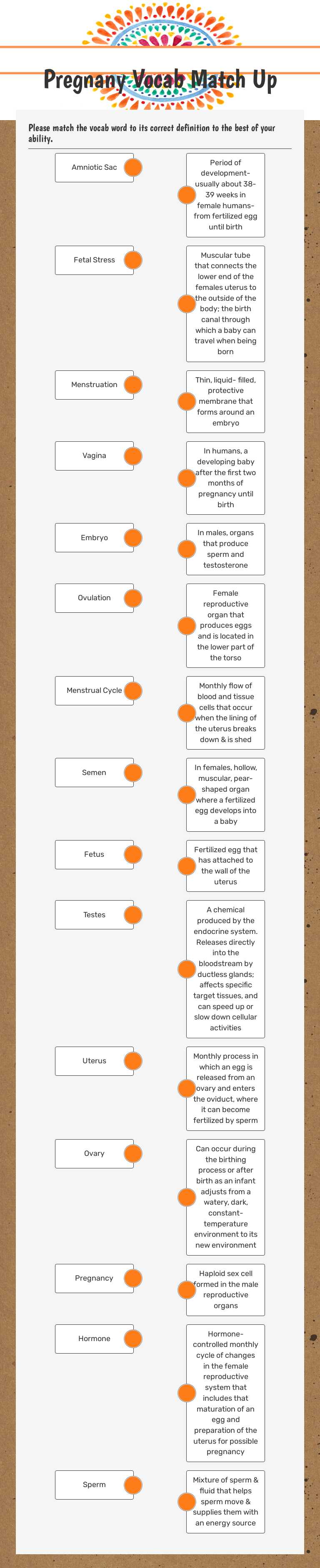 Pregnany Vocab Match Up worksheet preview image