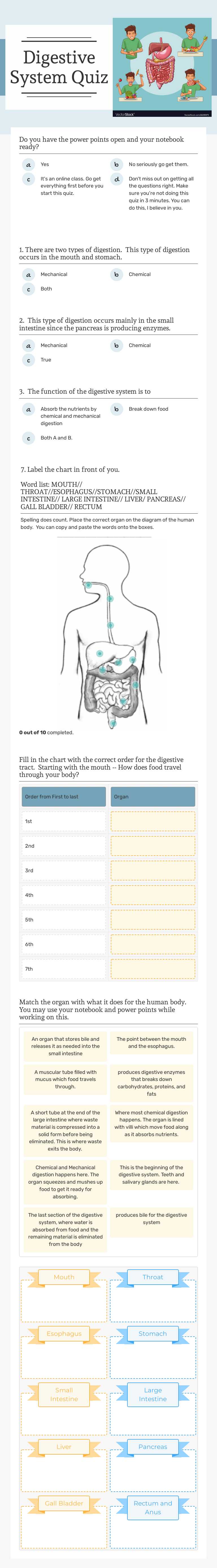 Digestive System Quiz Grade 6 worksheet preview
