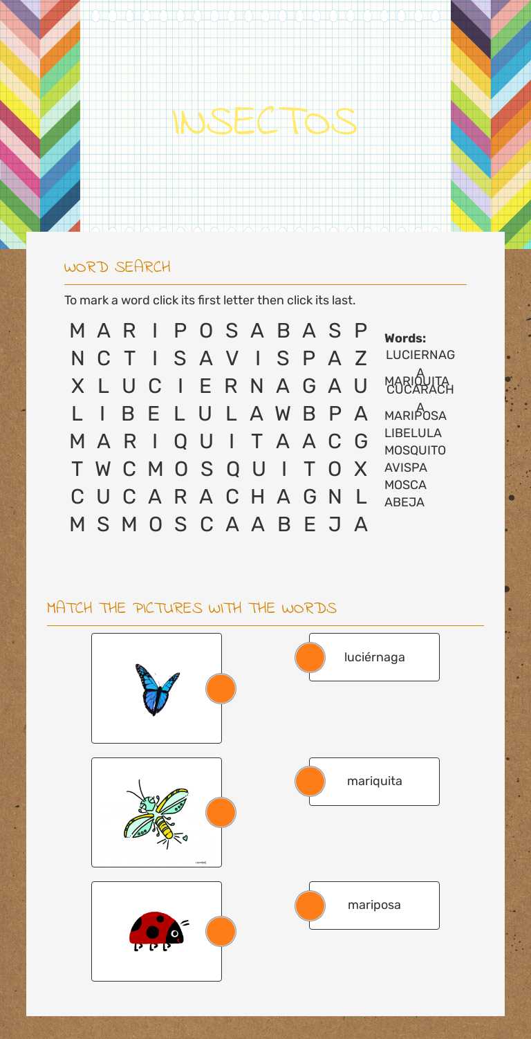 INSECTOS worksheet preview image