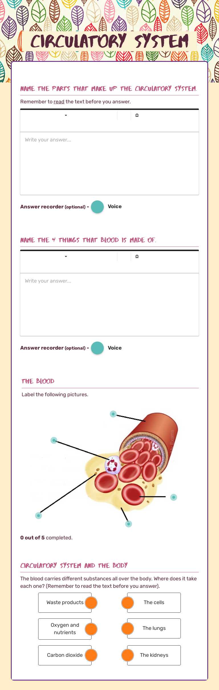 Circulatory System worksheet preview image