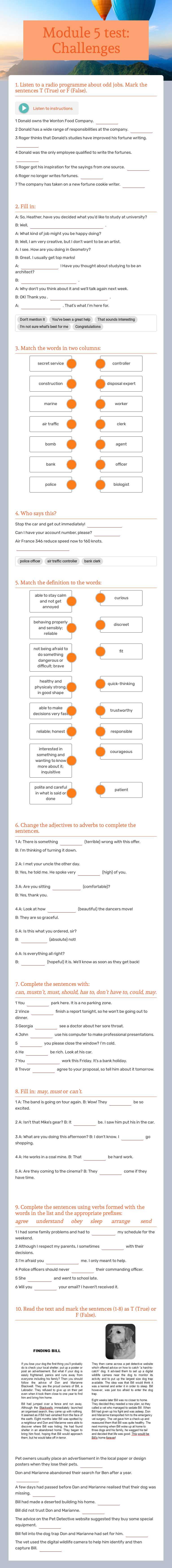 Module 5 test: Challenges worksheet preview image