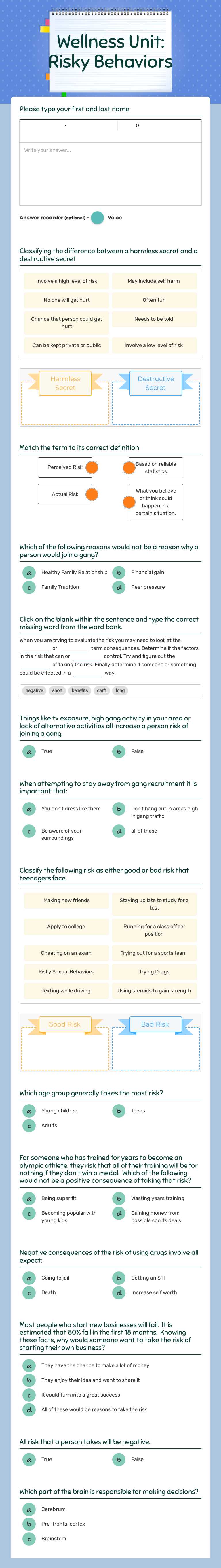 Wellness Unit: Risky Behaviors worksheet preview image