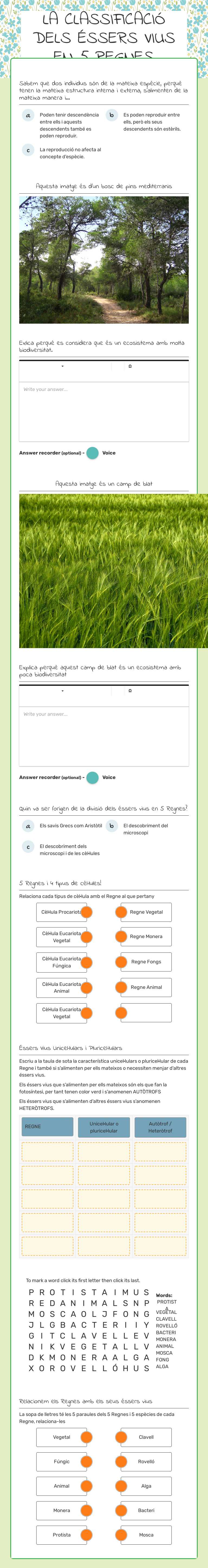 LA CLASSIFICACIÓ DELS ÉSSERS VIUS EN 5 REGNES worksheet preview image