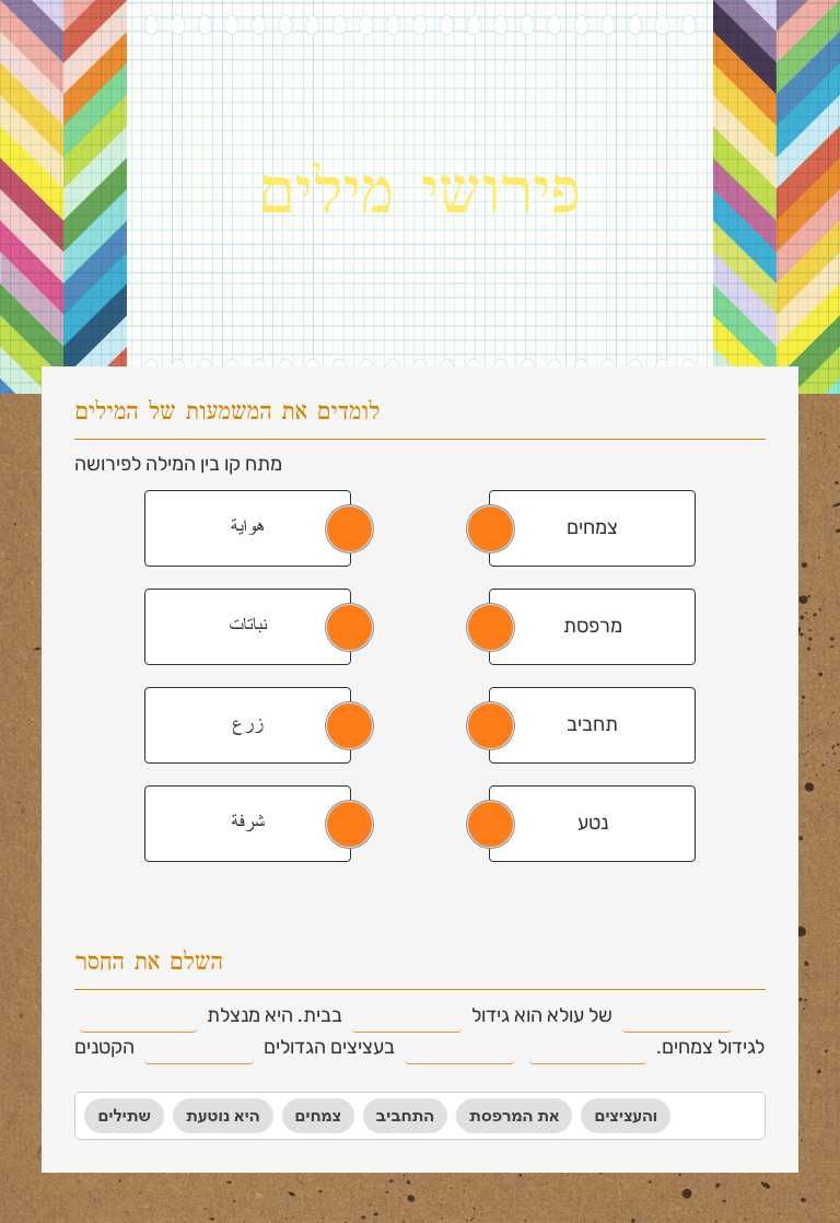 פירושי מילים worksheet preview image