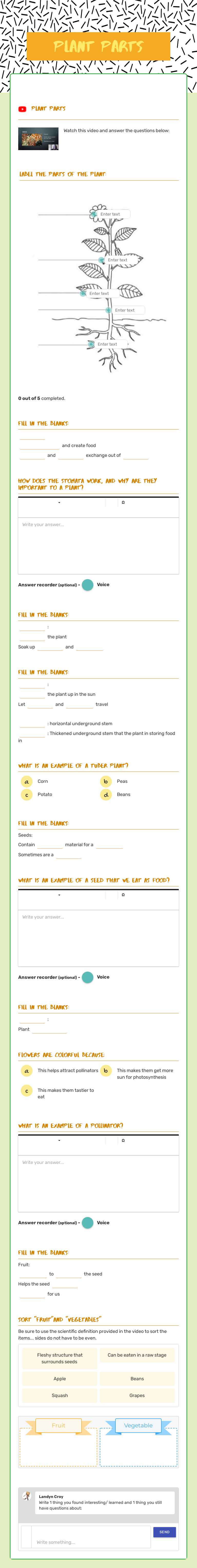 Plant Parts worksheet preview image