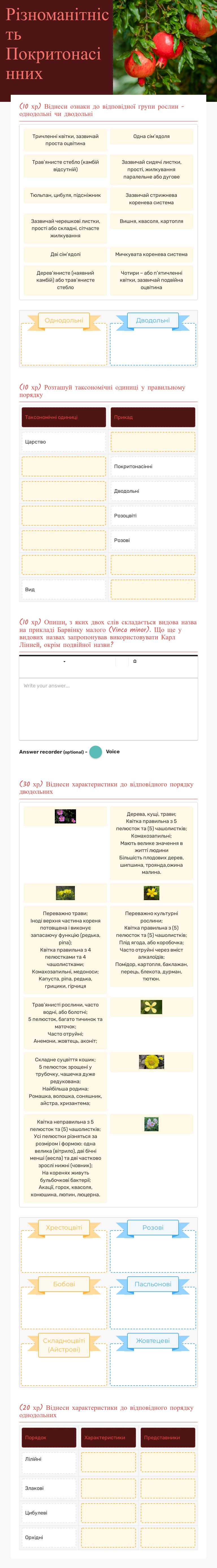 Різноманітність Покритонасінних worksheet preview image