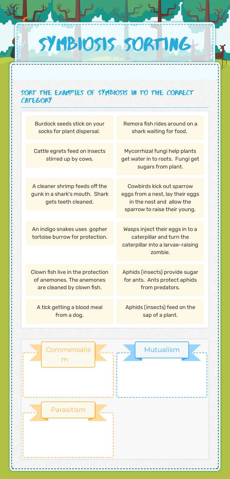Symbiosis SORTING Grade 7 worksheet preview