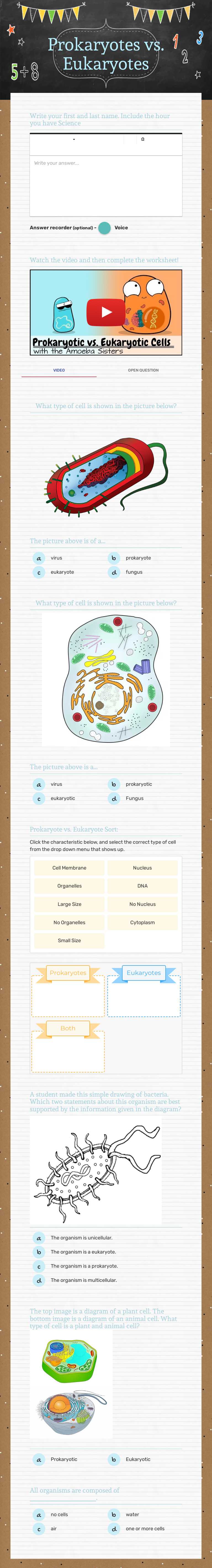 Prokaryotes vs. Eukaryotes Grade 6 worksheet preview