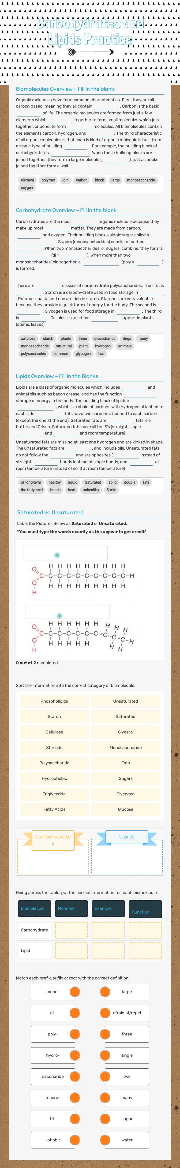 Carbohydrates and Lipids Practice worksheet preview image