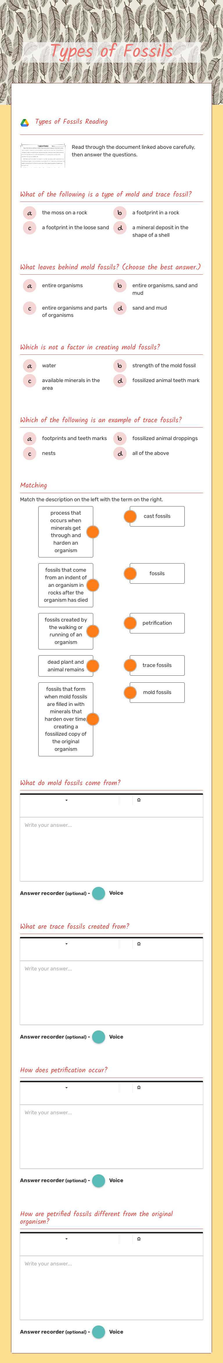 Types of Fossils worksheet preview image