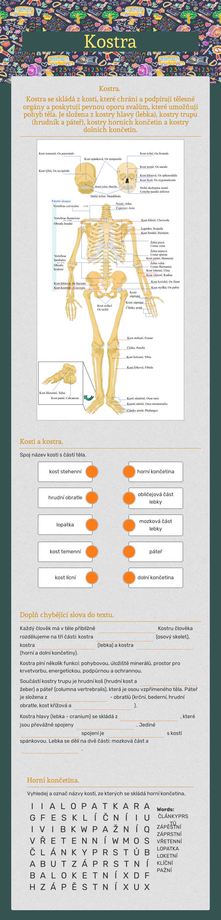 Kostra worksheet preview image