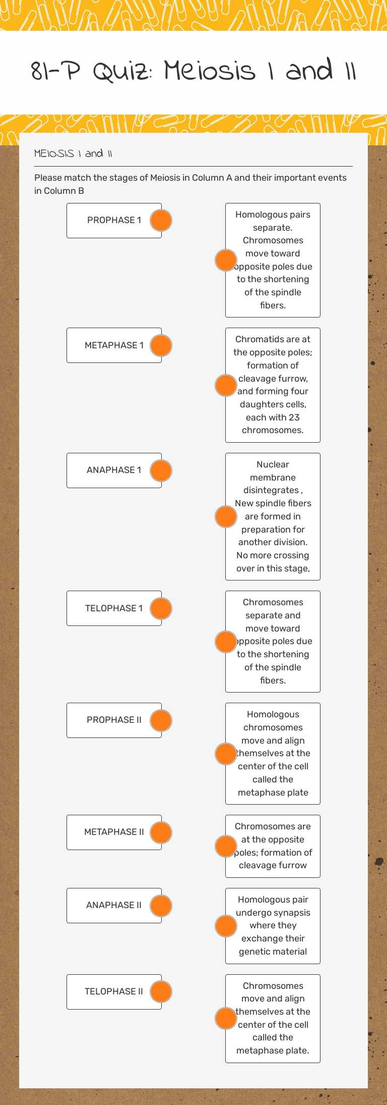 8I-P Quiz: Meiosis I and II Grade 8 worksheet preview
