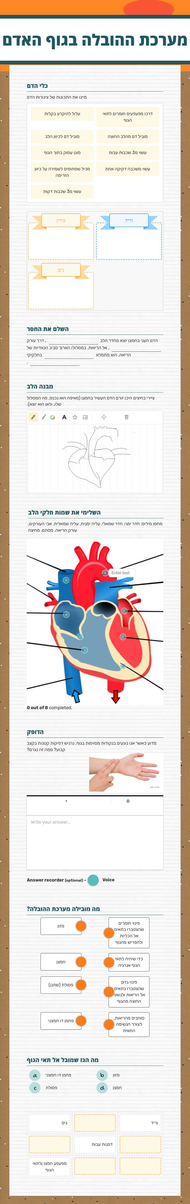 מערכת ההובלה בגוף האדם worksheet preview image