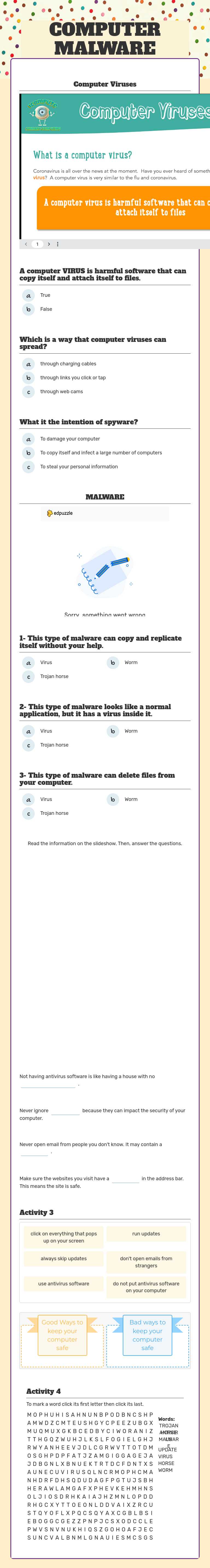 COMPUTER MALWARE worksheet preview image