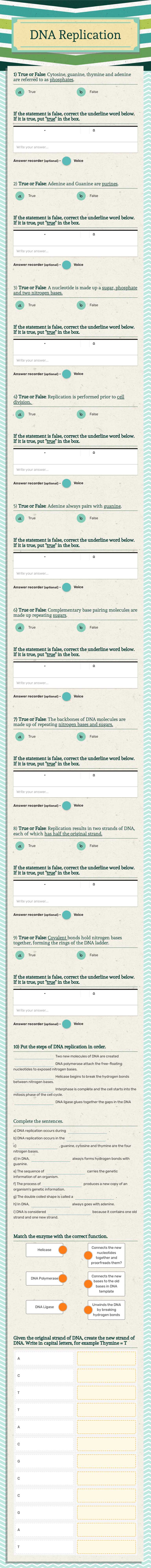 DNA Replication worksheet preview image