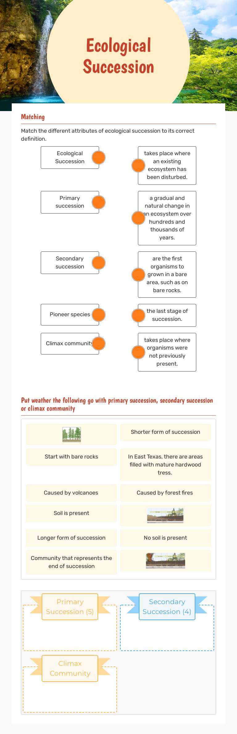 Ecological Succession worksheet preview image