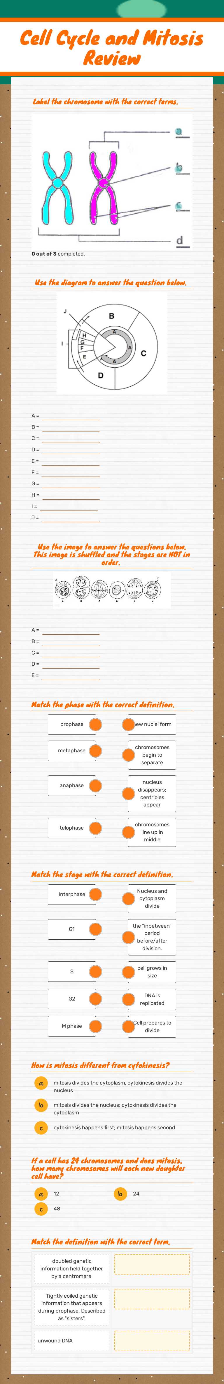 Cell Cycle and Mitosis Review worksheet preview image