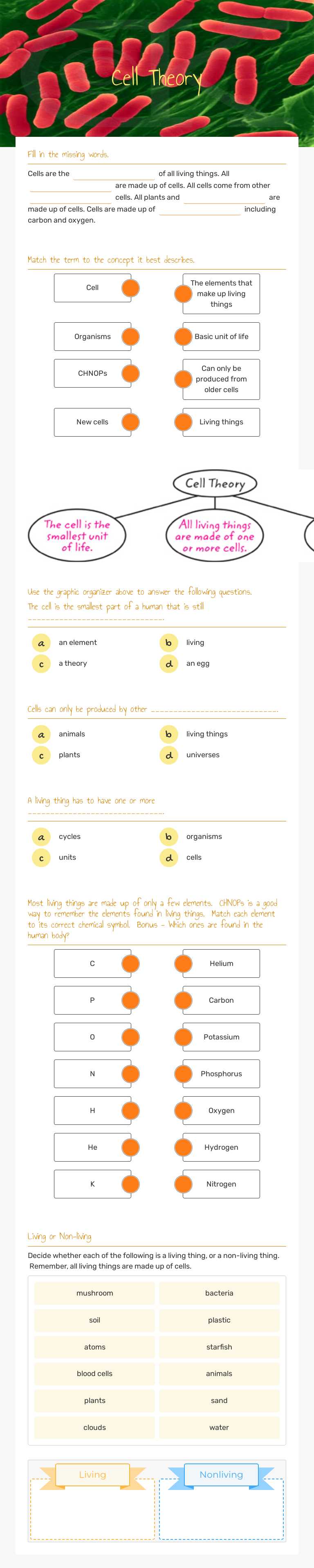 Cell Theory worksheet preview image