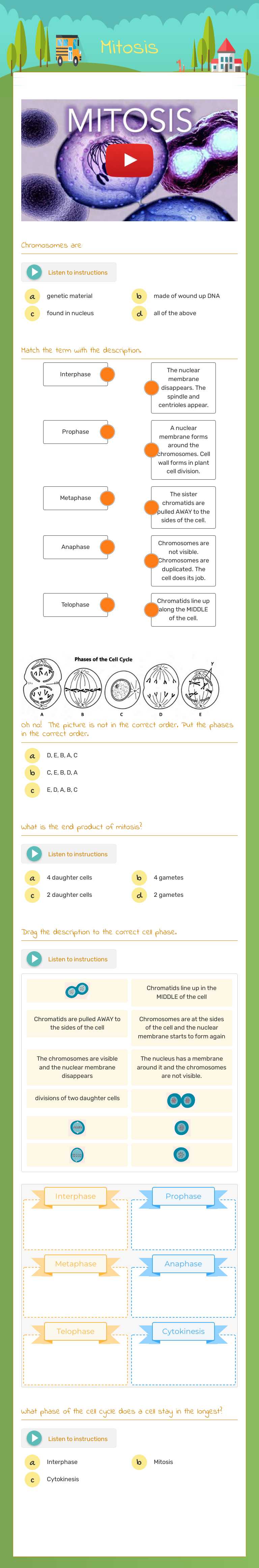 Mitosis Grade 7 worksheet preview