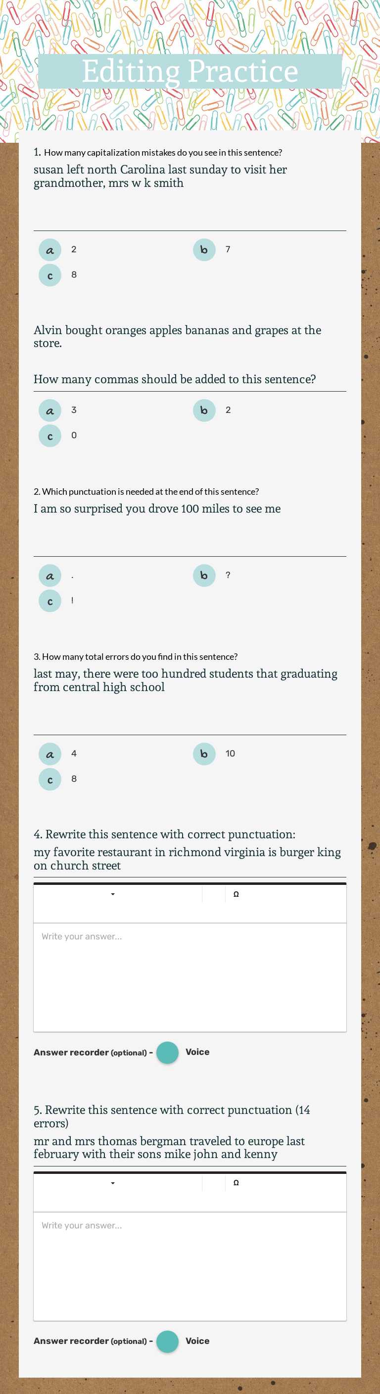 Editing Practice worksheet preview image
