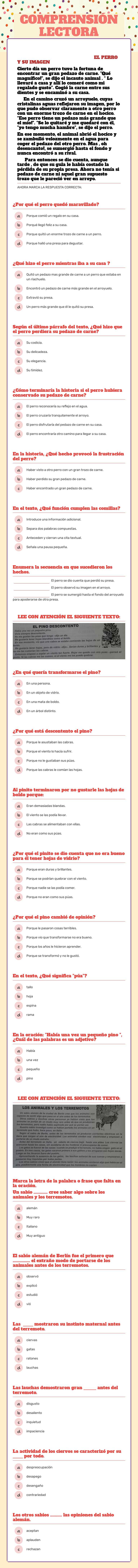 COMPRENSIÓN LECTORA worksheet preview image