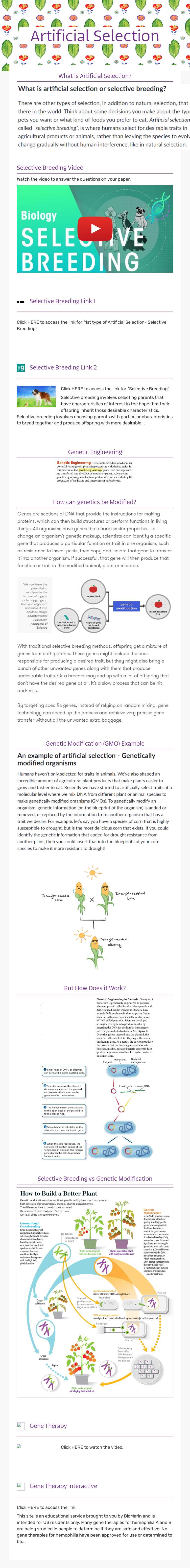 Artificial 
Selection Grade 8 worksheet preview