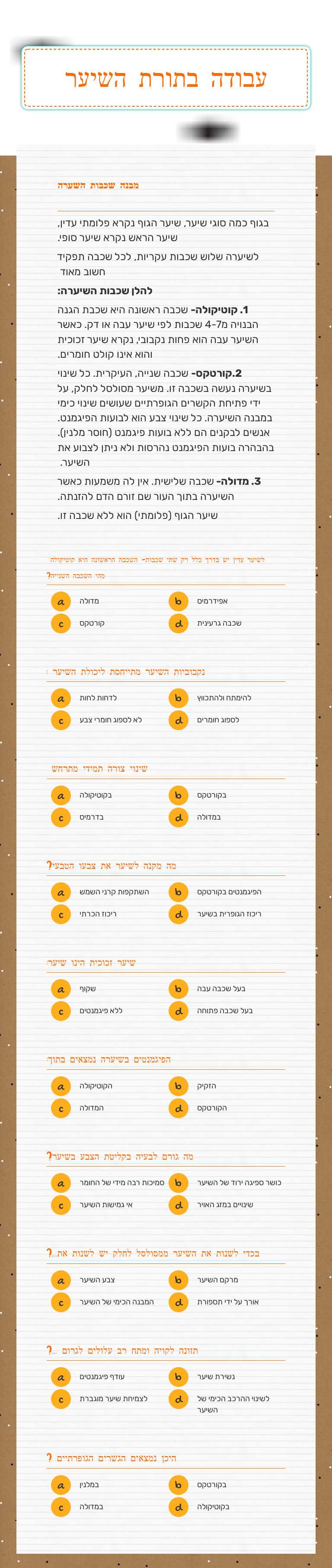 עבודה בתורת השיער worksheet preview image