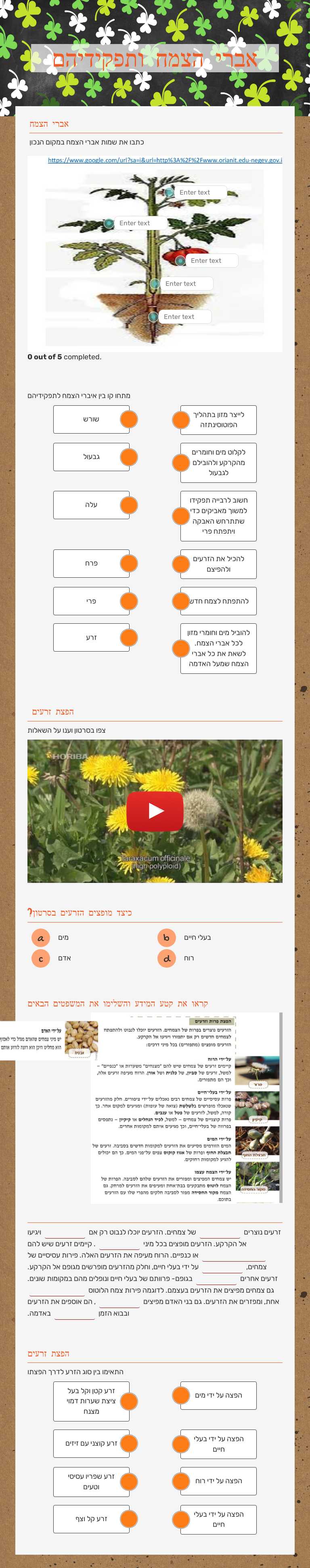 אברי הצמח ותפקידיהם worksheet preview image