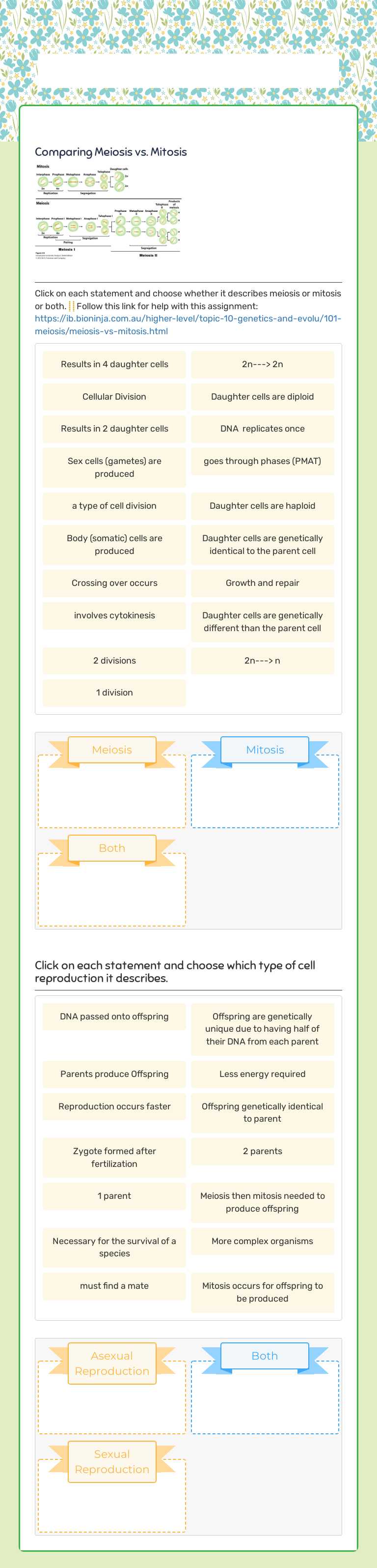 Mitosis vs. Meiosis worksheet preview image