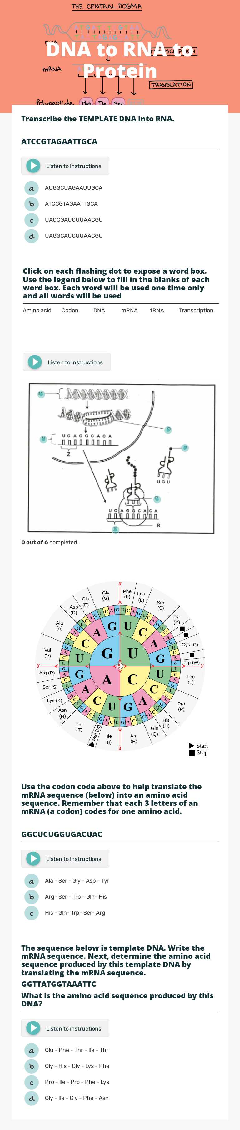 DNA to RNA to 
Protein worksheet preview image