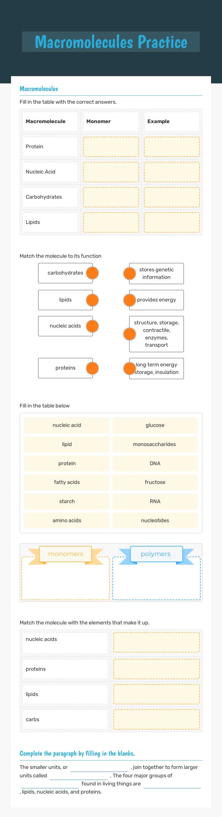 Macromolecules Practice worksheet preview image