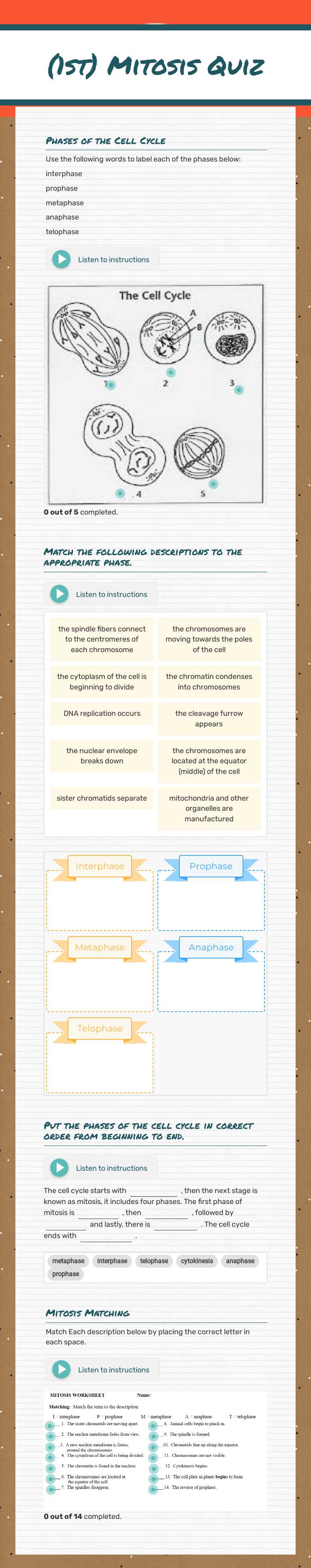 (1st) Mitosis Quiz worksheet preview image