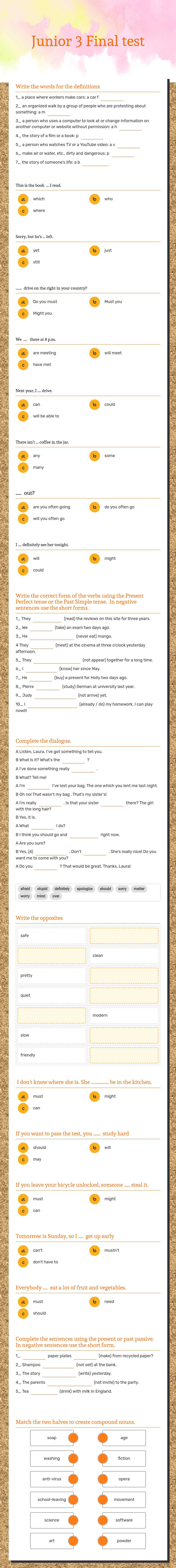 Junior 3 Final test worksheet preview image