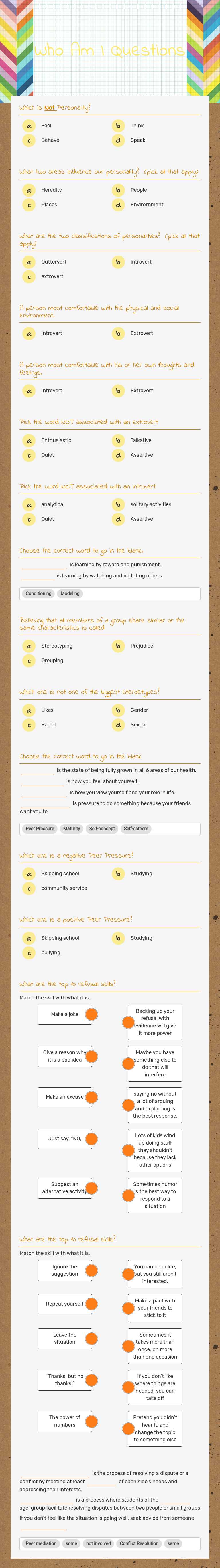 Who Am I Questions worksheet preview image