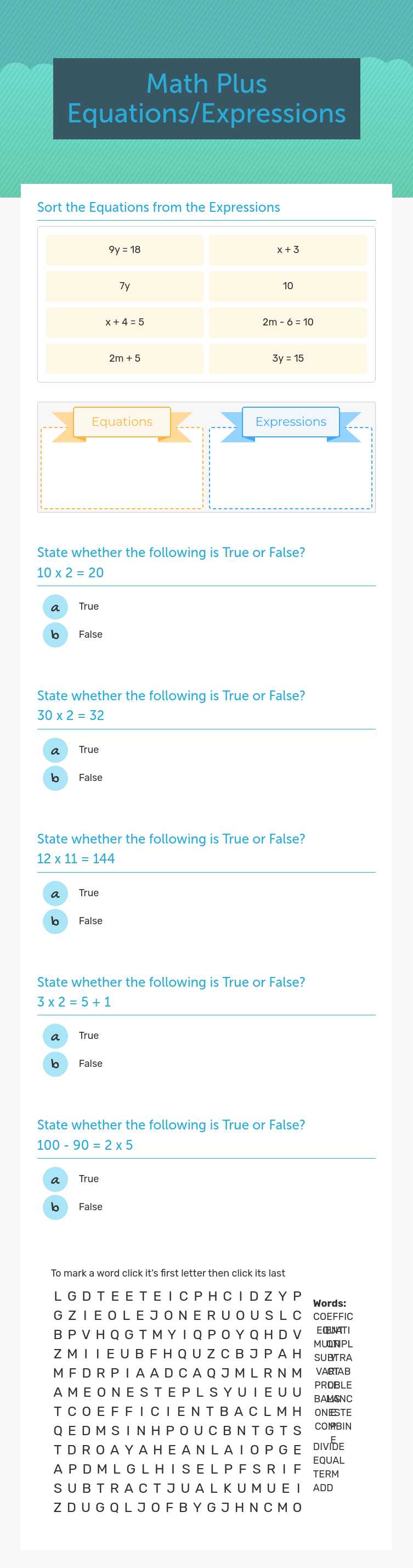 Math Plus Equations/Expressions worksheet preview image