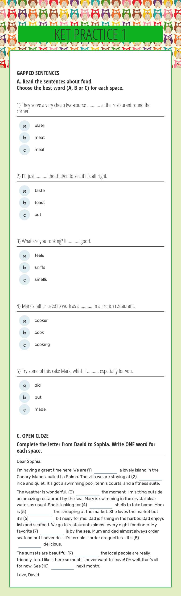 KET PRACTICE 1 worksheet preview image