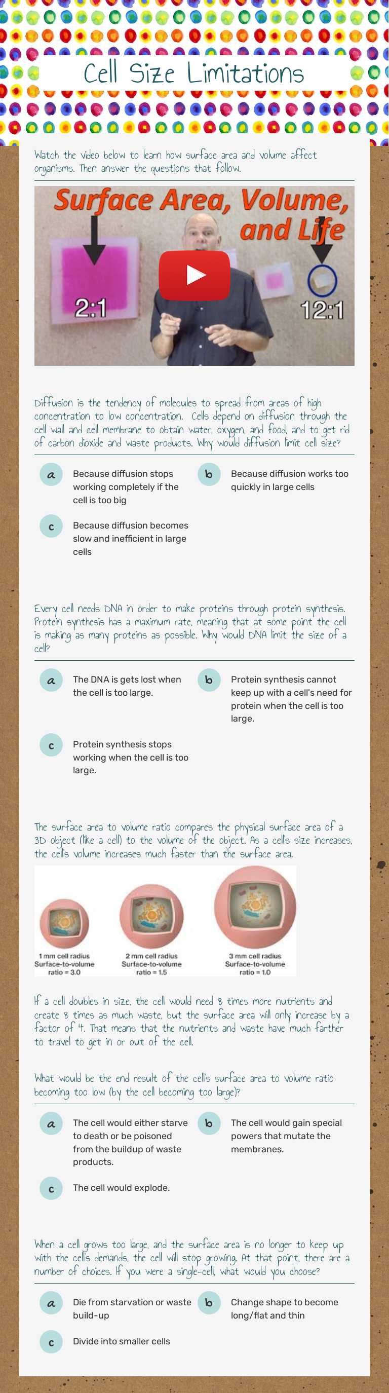 Cell Size Limitations worksheet preview image