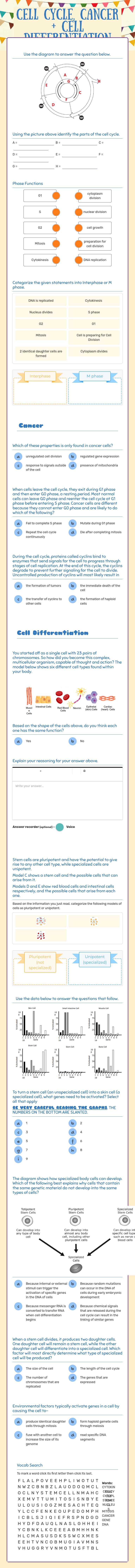 Cell Cycle, Cancer + Cell Differentiation worksheet preview image
