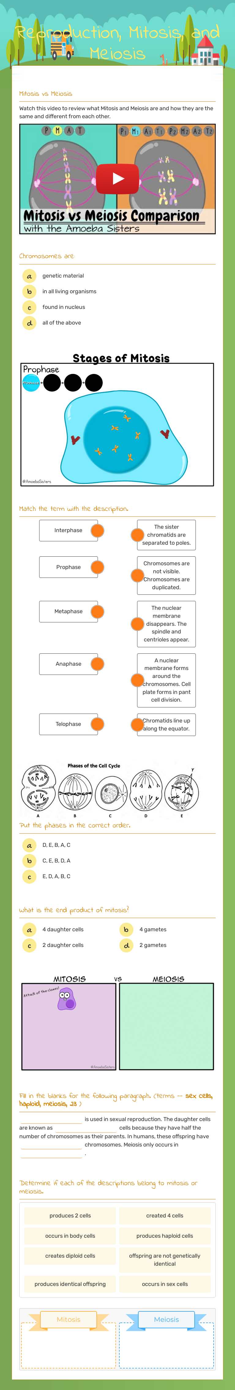 Reproduction, Mitosis, and Meiosis worksheet preview image