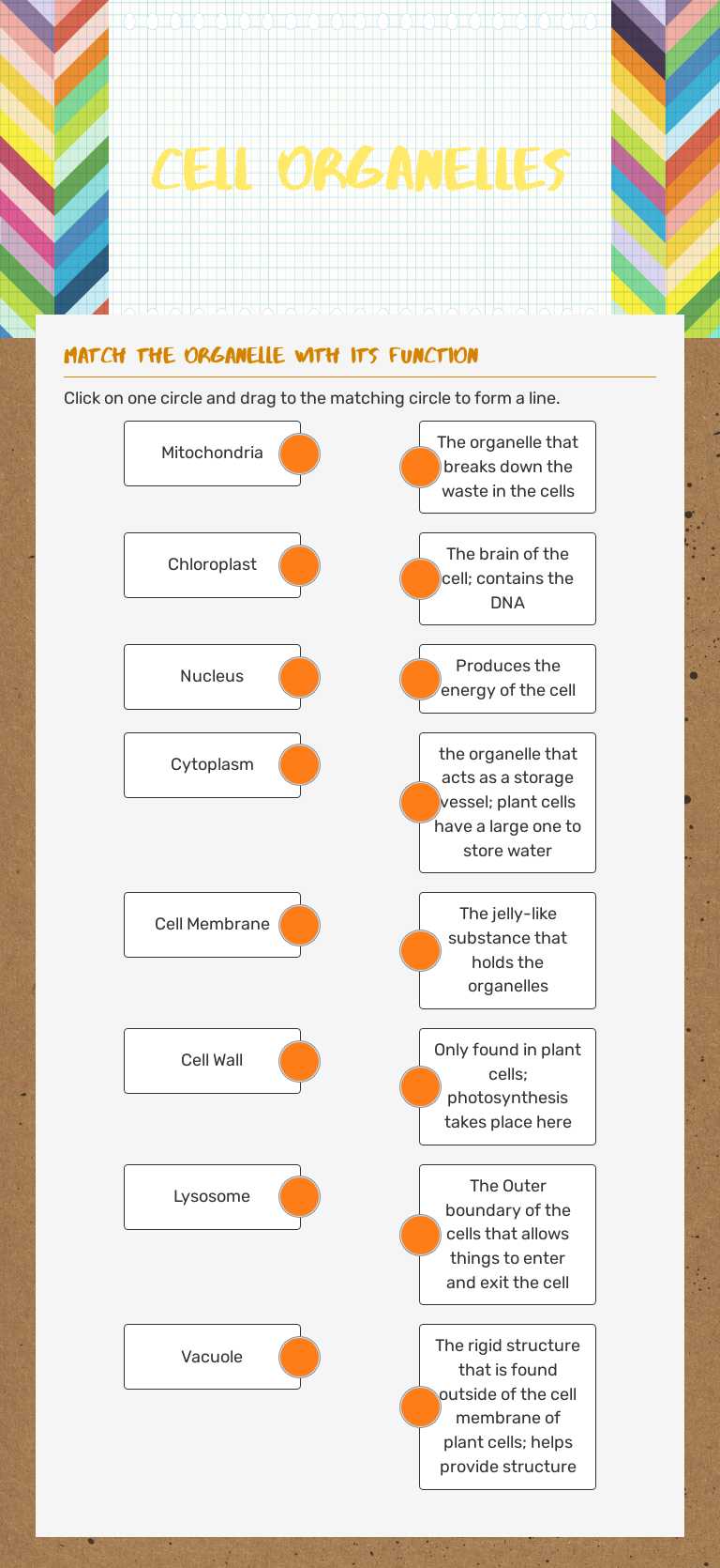 Cell Organelles worksheet preview image