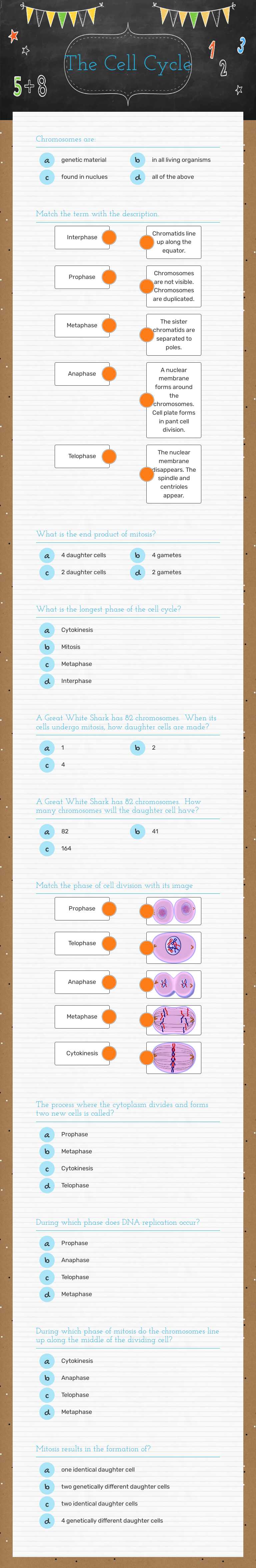 The Cell Cycle worksheet preview image