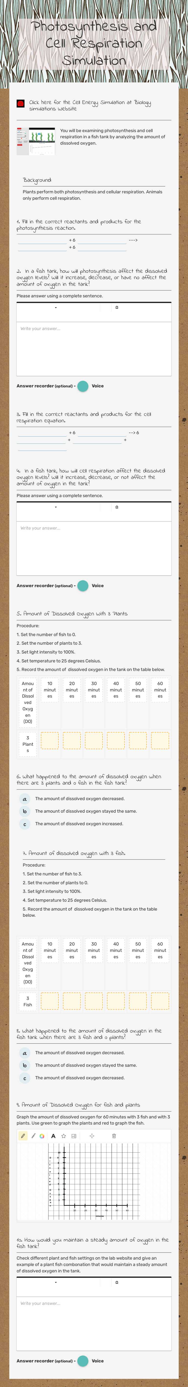 Photosynthesis and Cell Respiration Simulation worksheet preview image
