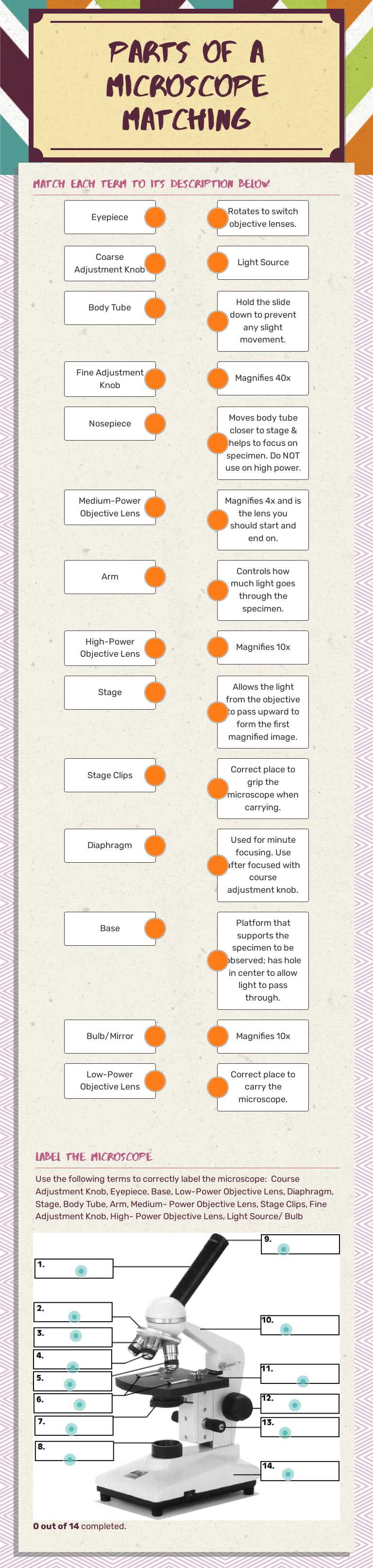Parts of a microscope matching Grade 7 worksheet preview